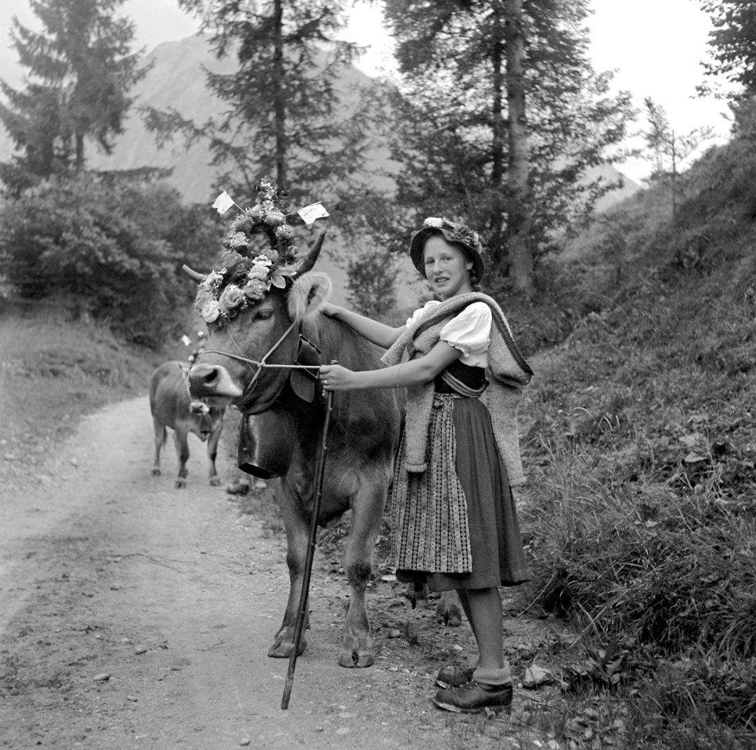 Kunstverlag Schweineberg | Allgäuer Bergkäse